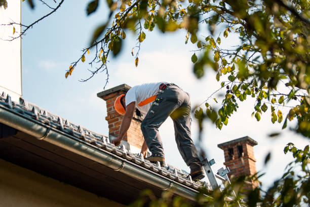 Best Chimney Flashing Repair  in Bethel, OH